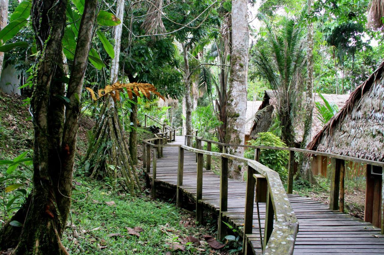 Ceiba Tops Santa Teresa  Extérieur photo